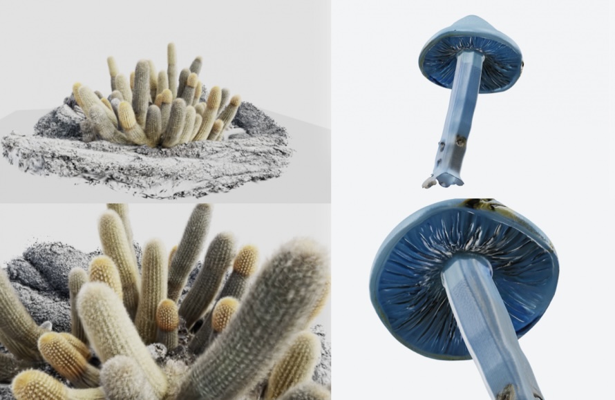 3Dデジタル植物を体感する「植物デジタル体験会 #01」が下北沢で開催