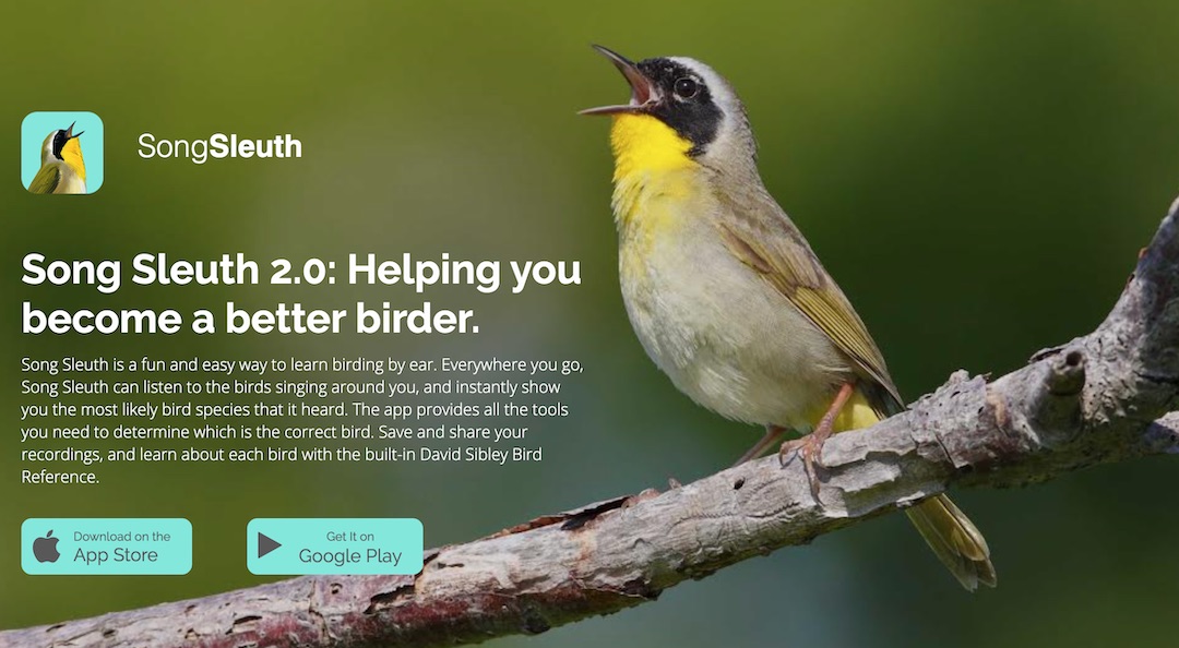 鳴き声から野鳥を識別するアプリ