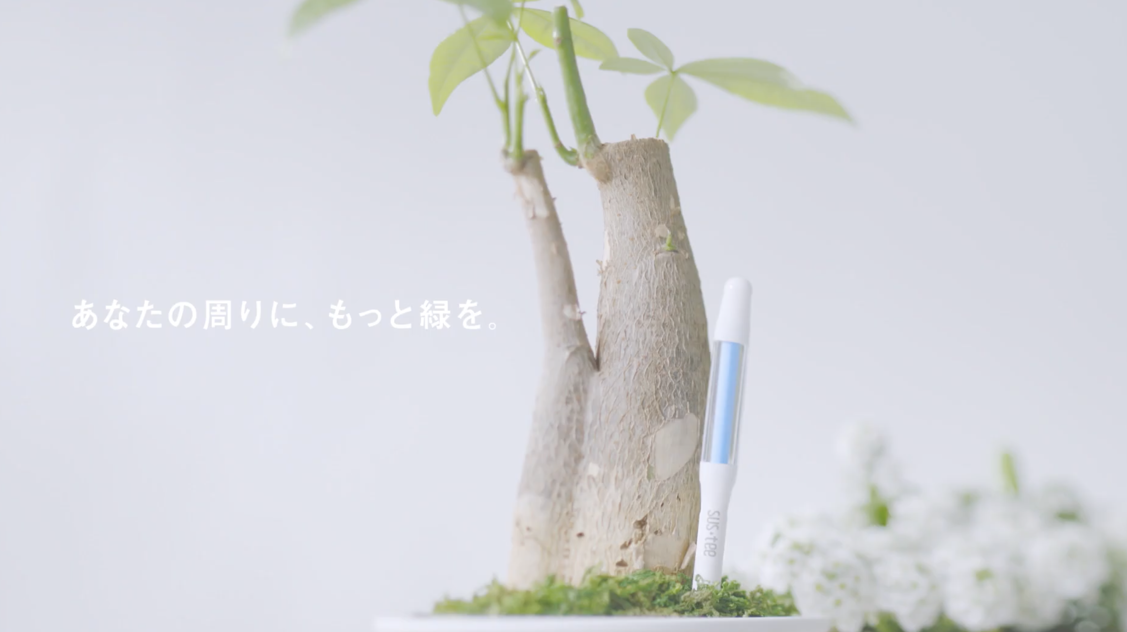 水やりに最適なタイミングを色で教えてくれる水やりチェッカー