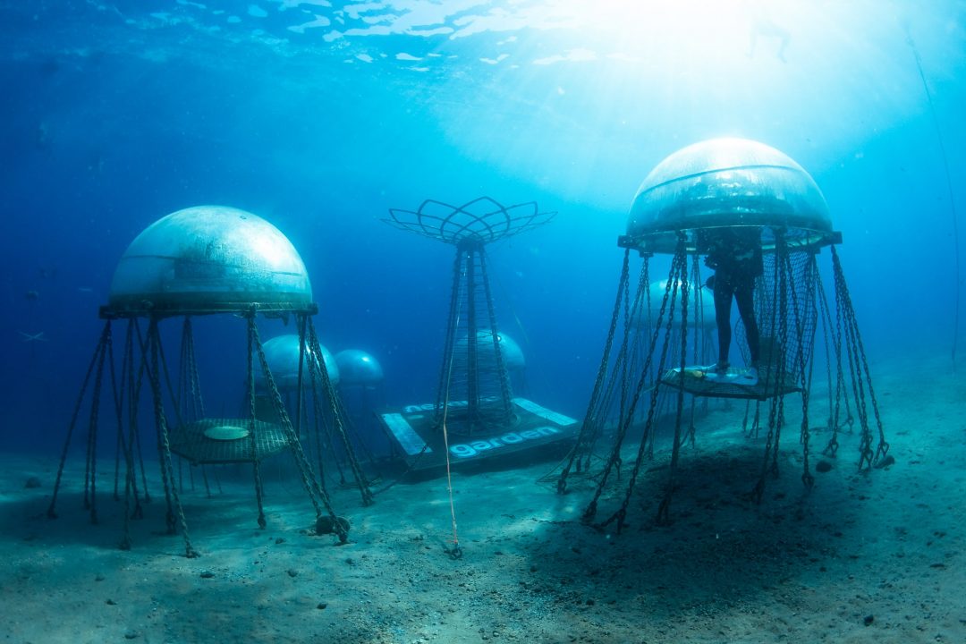 海底のカプセルドームで野菜を栽培する菜園プロジェクト「Nemo’s Garden」─海水から自給自足で生育