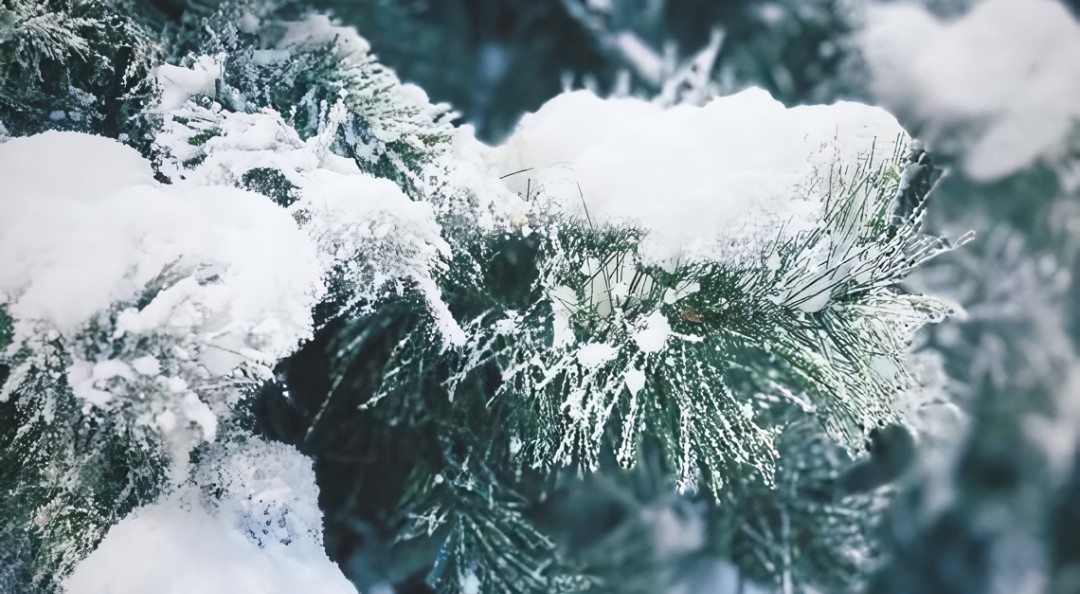 “本物よりもリアルな雪”の表現で空間演出する人工雪ブランド