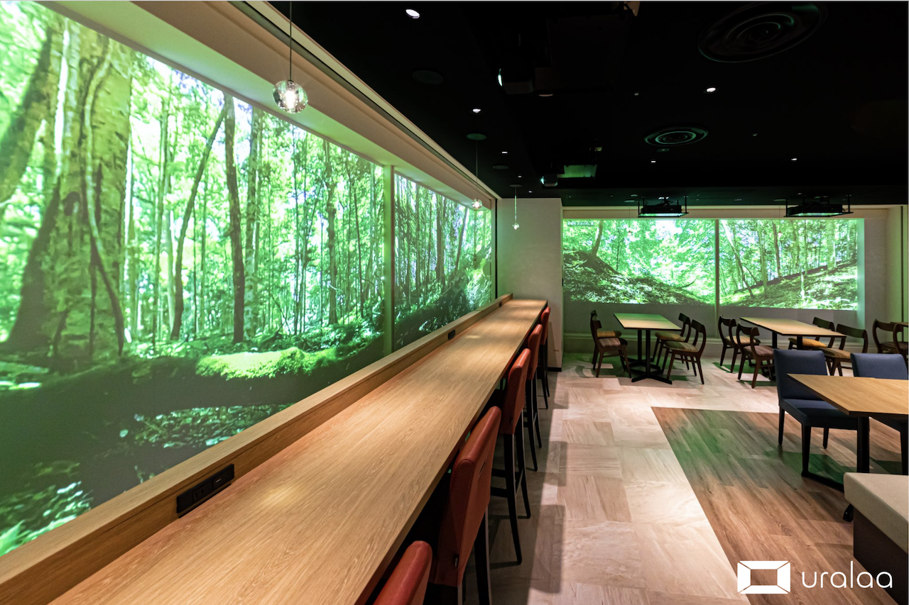 北海道の大自然に癒される─没入型のデジタル森林浴®️空間「uralaa park haneda」が羽田空港で提供開始