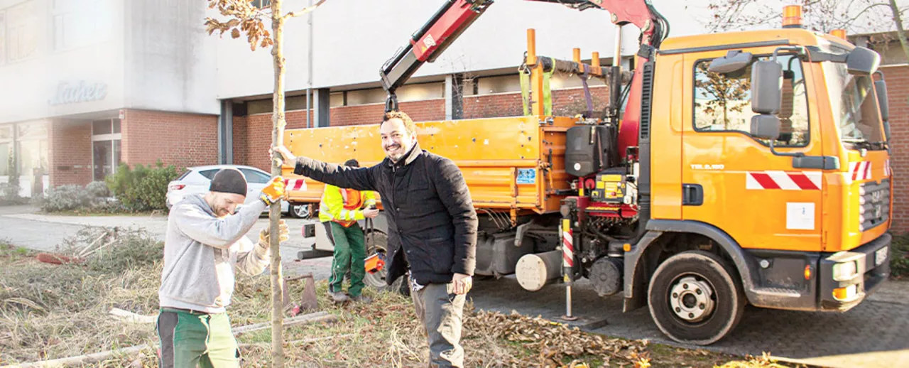 Das einpflanzen eines Baumes