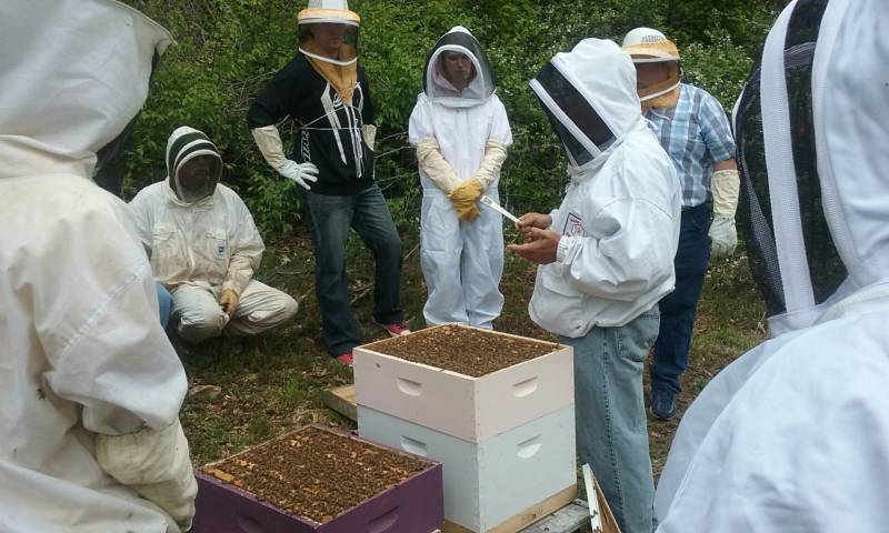 Beekeeper training
