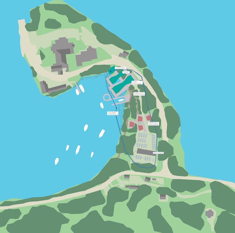 Curl la Tourelle Head