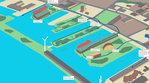 Curl la Tourelle Head
