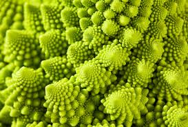 Romanesco broccoli (Image Two) Romanesco broccoli (Image Two)