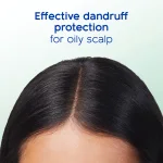 EFFECTIVE DANDRUFF PROTECTION for oily scalp.