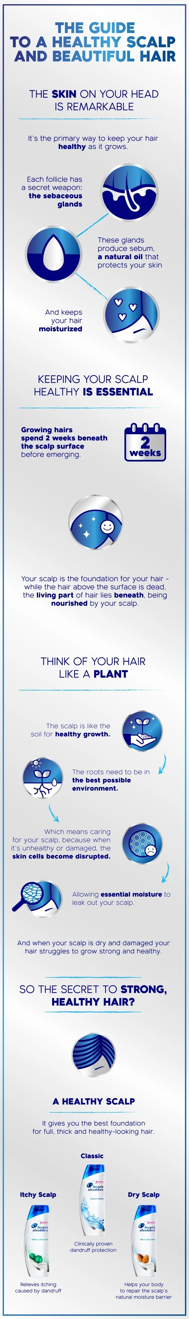 Healthy Scalp and Beautiful Hair infographic