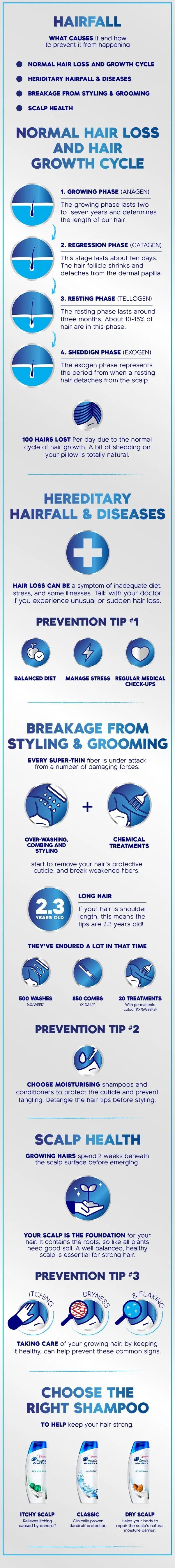 Infographic: Dandruff And Hair Loss