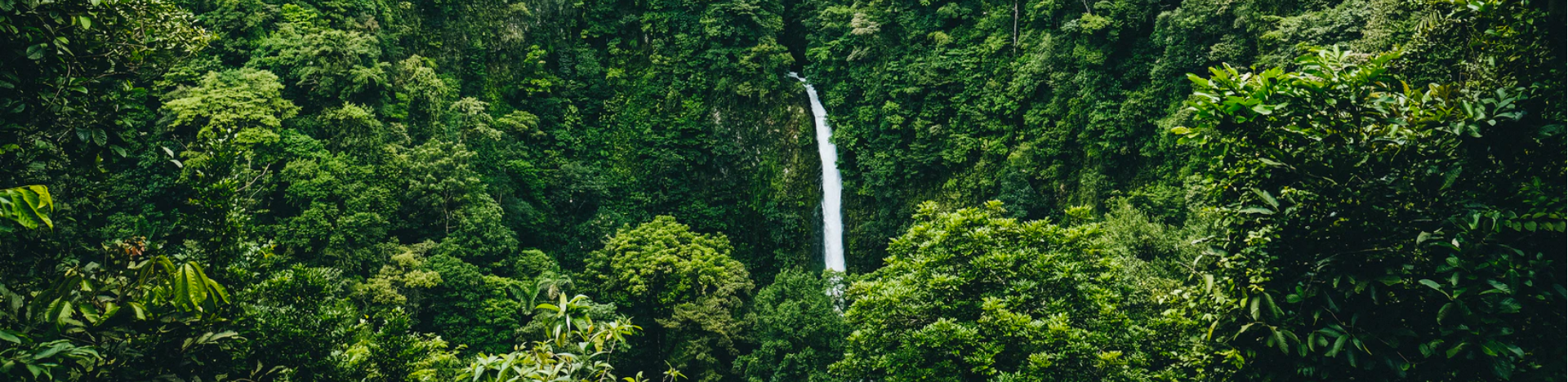 Peru is establishing rainforest reserve for isolated Indigenous peoples