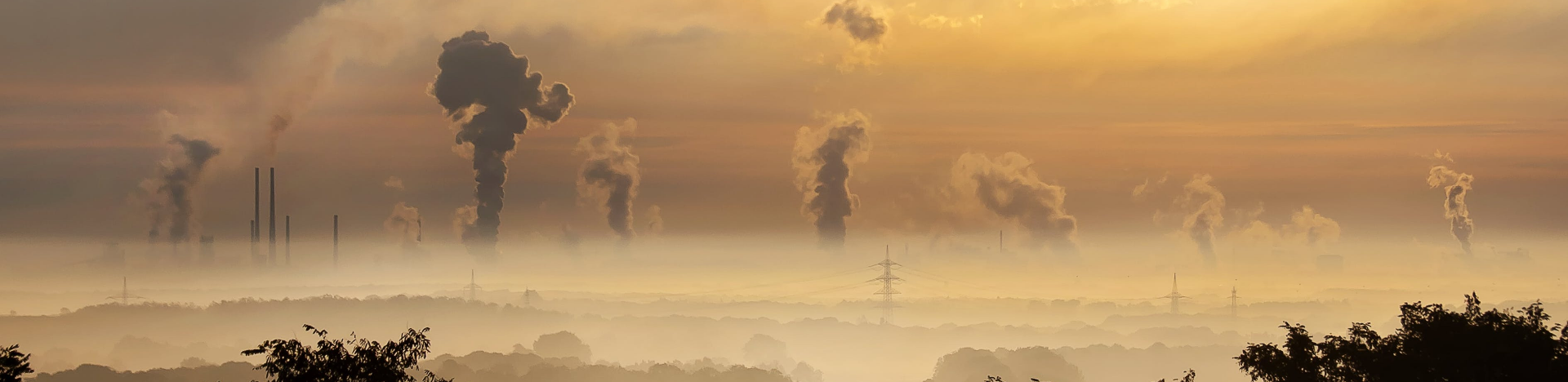 What is known is that carbon levels are dangerously high as they’re the highest they’ve been in the last 800 000 years