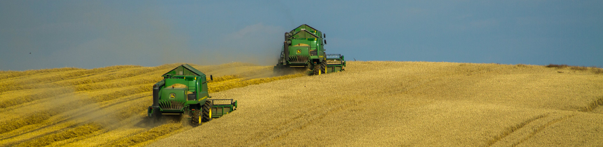 Examples of human actions releasing carbon into the atmosphere include land use change and fossil fuels