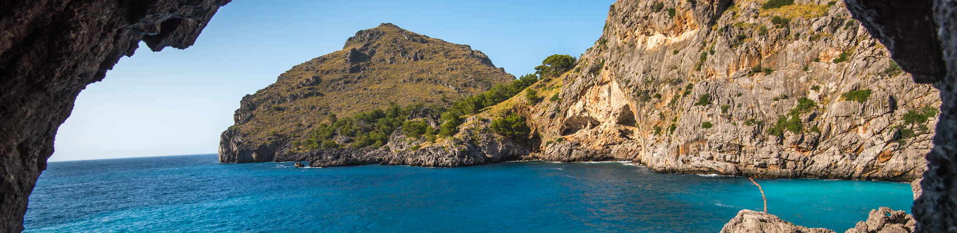 Mallorca marine reserve boosts wildlife and business