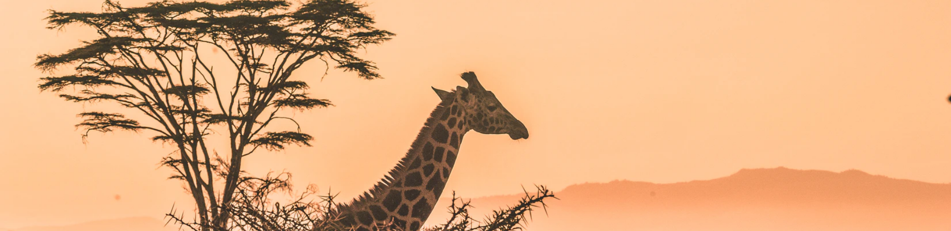 Future of Climate Change Align helps businesses be smarter in biodiversity measurement