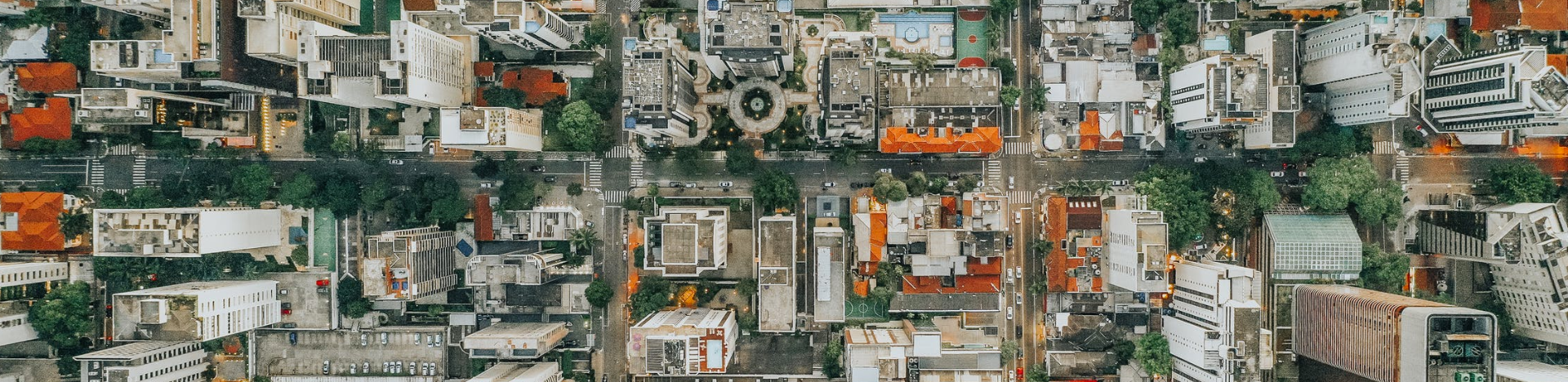 New study finds how much trees actually cool down cities