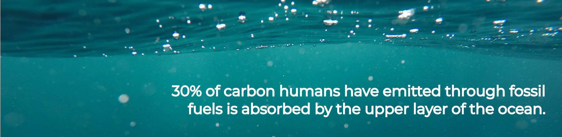 30% of carbon humans have emitted through fossil fuels is absorbed by the upper layer of the ocean.