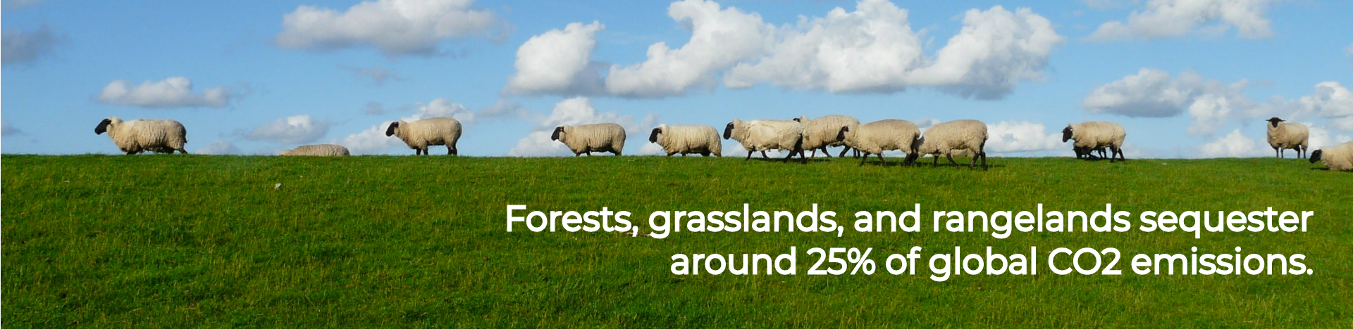 Forests, grasslands, and rangelands sequester around 25% of global CO2 emissions.