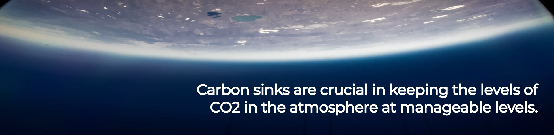 Carbon sinks are crucial in keeping the levels of CO2 in the atmosphere at manageable levels.