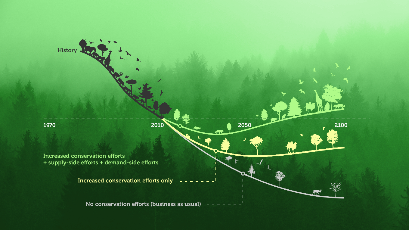 Biodiversity curve
