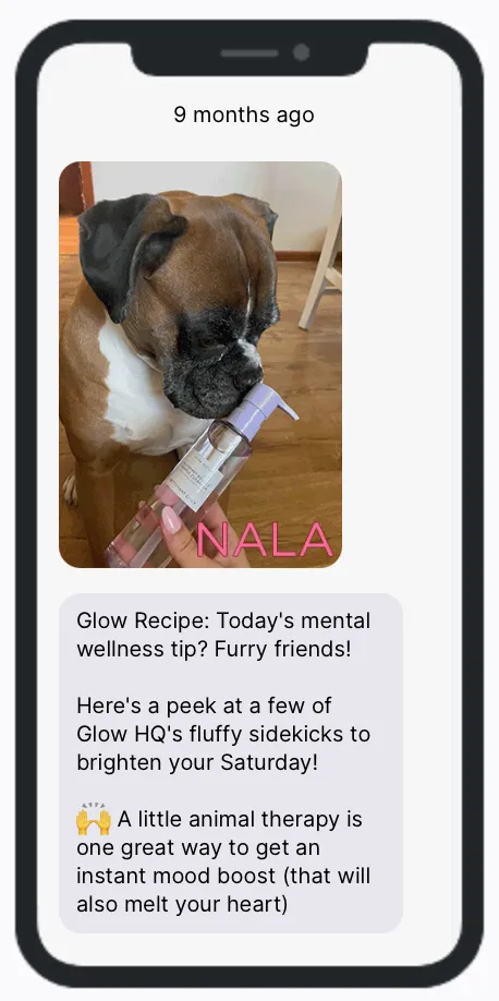 Glow Recipe mental health pets Glow Recipe mental health pets