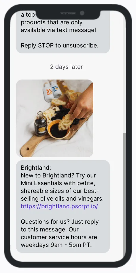 Brightland Minis Brightland Minis