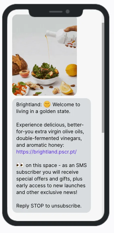 Top Rev Brightland Welcome Series Message from Brightland's welcome series