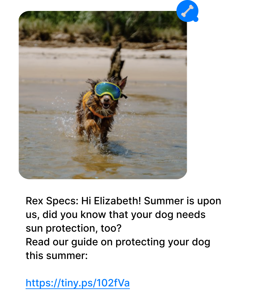 Rex Specs Dog On Beach