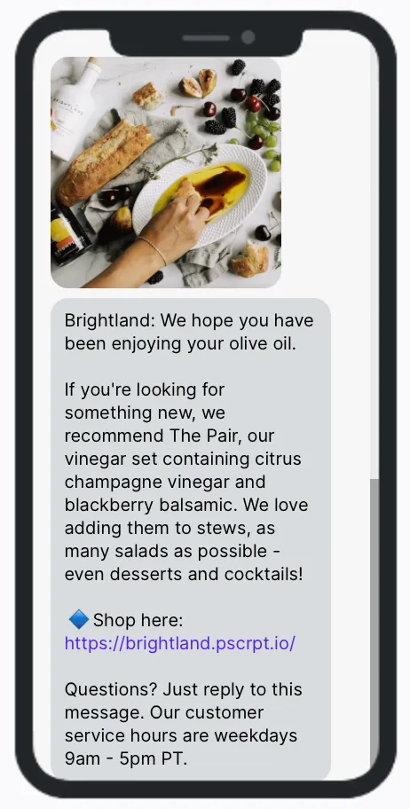 Brightland PP2 Brightland PP2