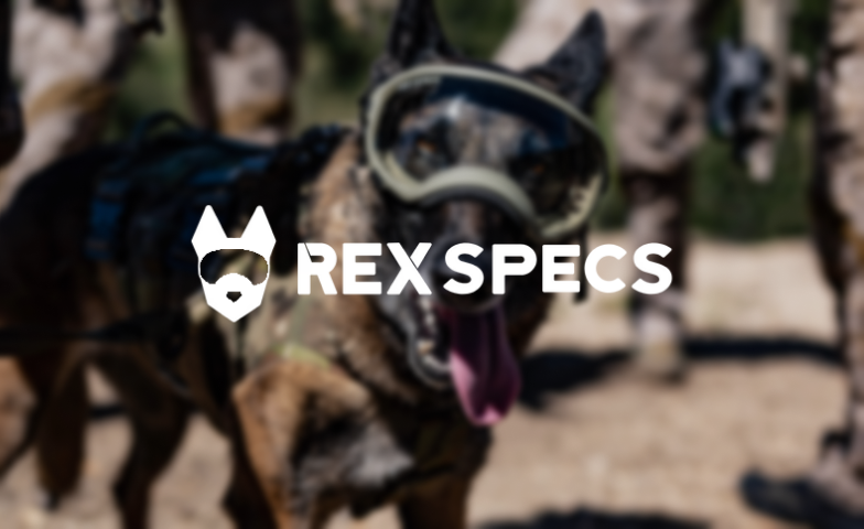 Rex Specs Case Study Thumbnails