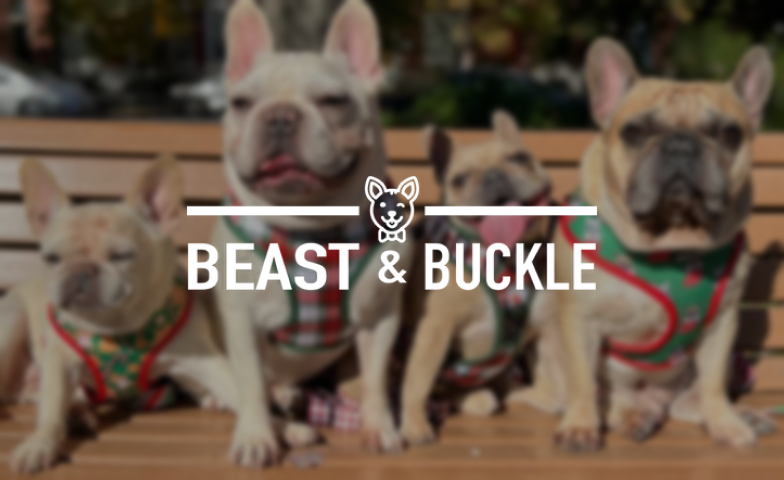 Beast & Buckle Case Study Thumbnail