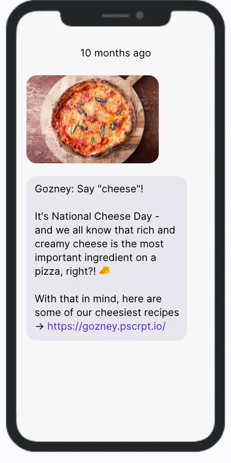 Gozney - National Cheese Day Campaign Gozney - National Cheese Day Campaign