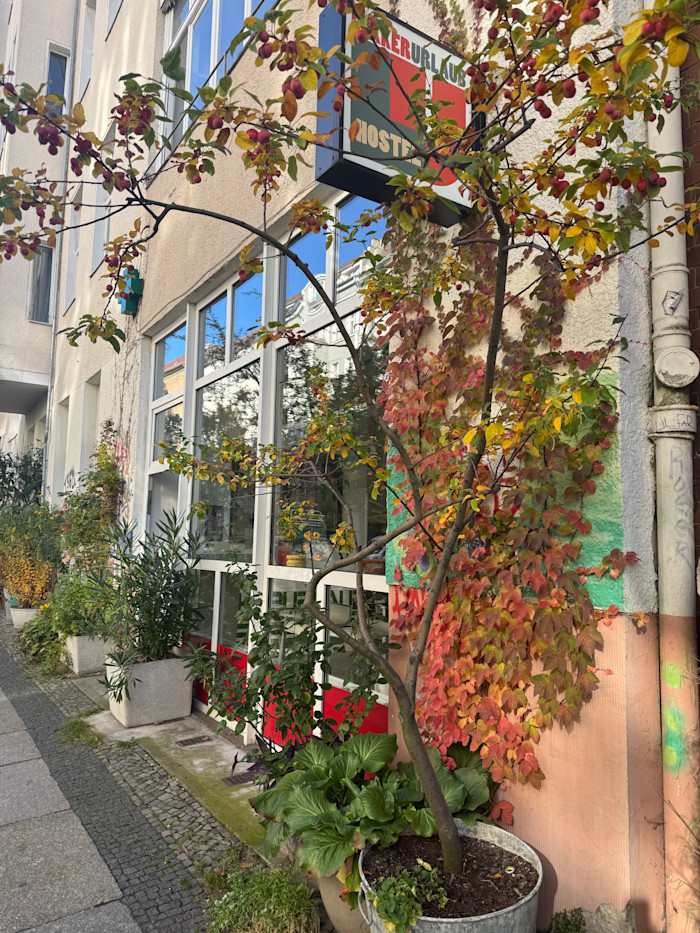 Herbst hält Einzug in der Graefestraße