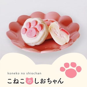 04 こねこのしおちゃん