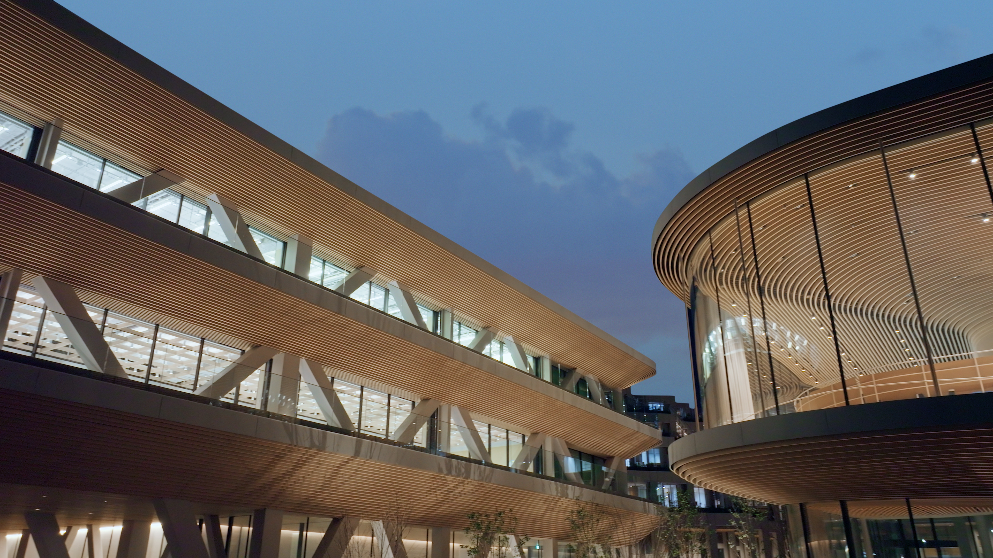 ウーブン・シティの木材が特徴的な2つの建物