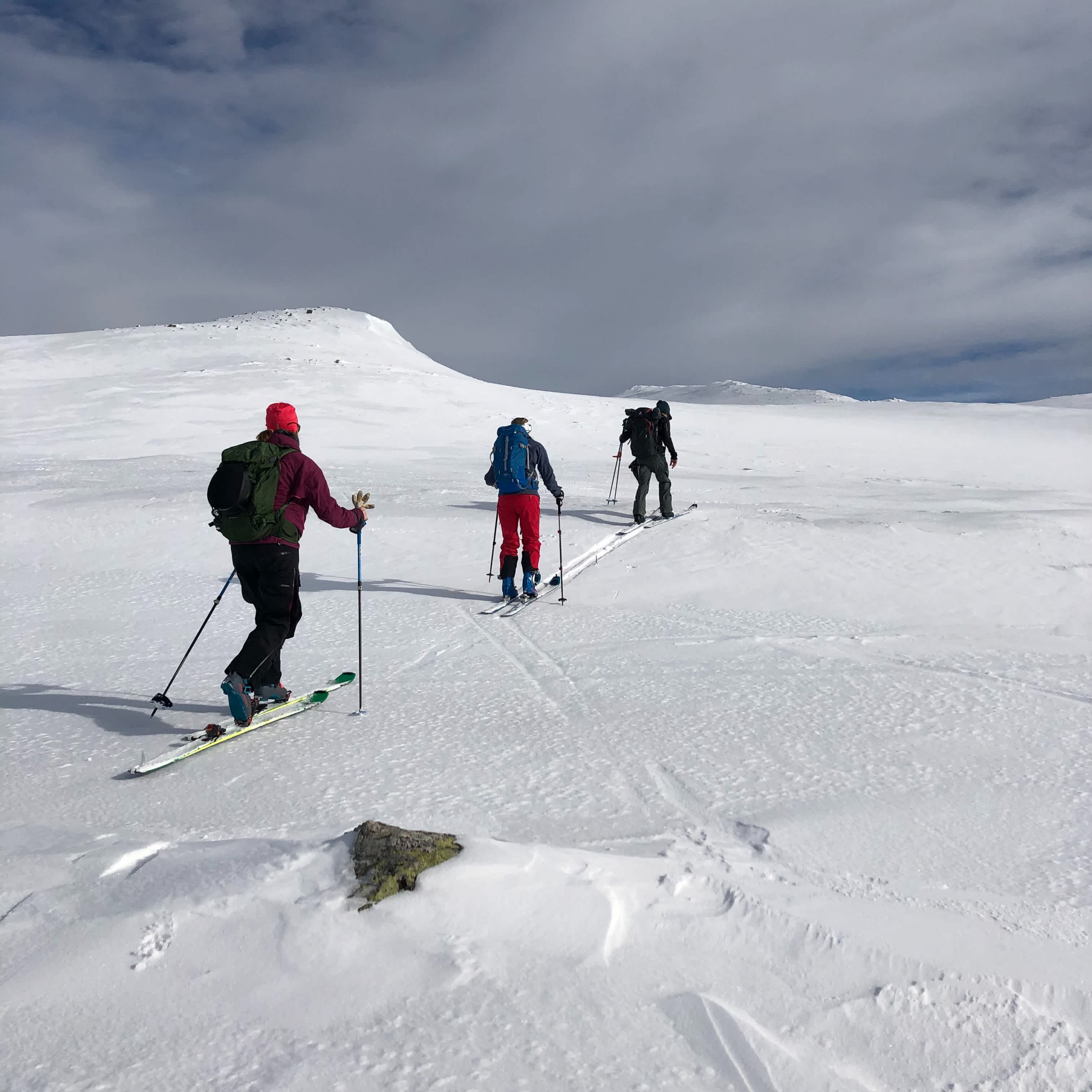 Anåfjället Funäsdalen
