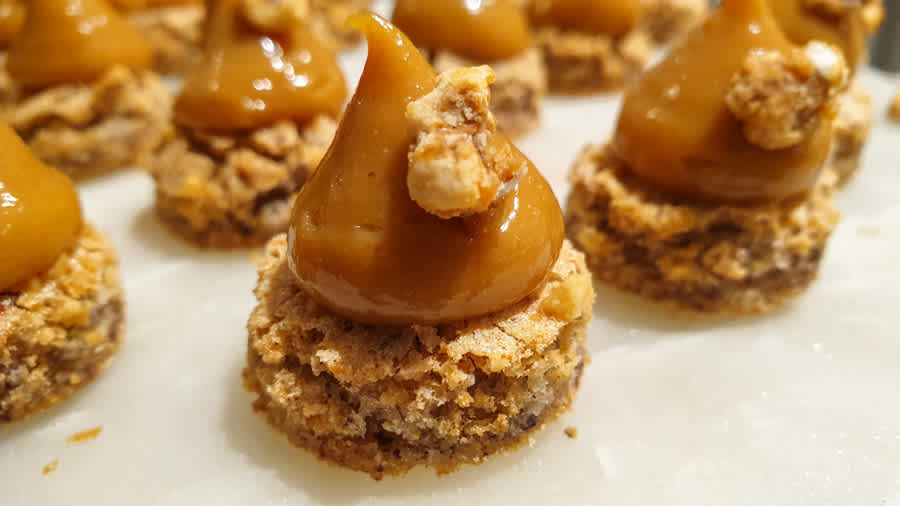 Hazelnut One Bites Closeup