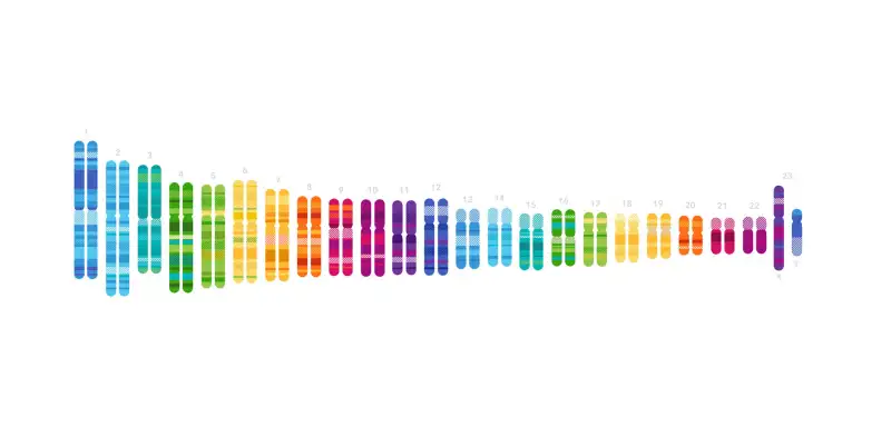 23andme DNA sequence