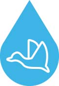 Icono de pájaro volando sobre una gota azul.