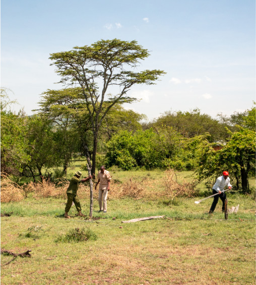 Drei Männer in Kenias Chepalungu Wald, der mit Hilfe von WWF und Ariel aufgeforstet wird.