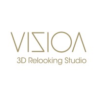 Logo Vizion