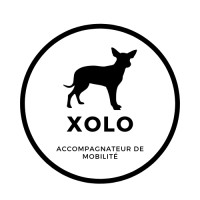 Logo XOLO