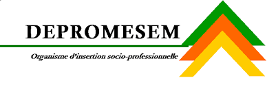 Logo Depromesem