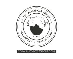 Badge logotype Blacknosegroup