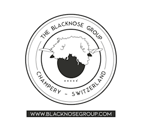 Logo tampon blacknosegroup