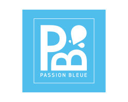 logotype_bleu