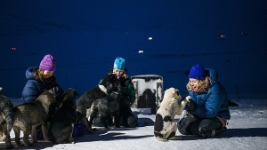Polarhund-HGS-14870- Foto Agurtxane Concellon