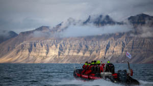 Isfjord-safari-bird-cliffs Boattrip Arctic-wildlife Agurtxane-Concellon