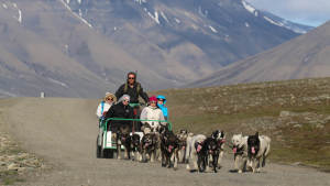 Dogs-and-the-ocean Dogsledding-wagon Green-Dog Landscape 1920x1080 01