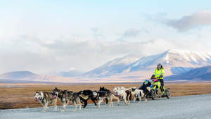 Svalbardbloggen GreenDog Dogsled Autumn blog tip Agurtxane Concellon toppbilder